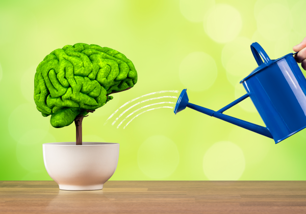 8,8 млрд тенге вопросов. Что показал аудит благоустройства в Карагандинской области