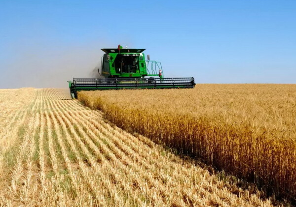 112 миллиардов в «молоко», гараж с тренажеркой для чиновников и премии в 200% – хроники «эффективного» управления в СКО