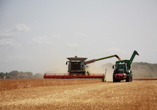 Экспорт зерна из Казахстана увеличился на 34%