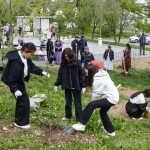 В Алматы возрождают яблоневые сады
