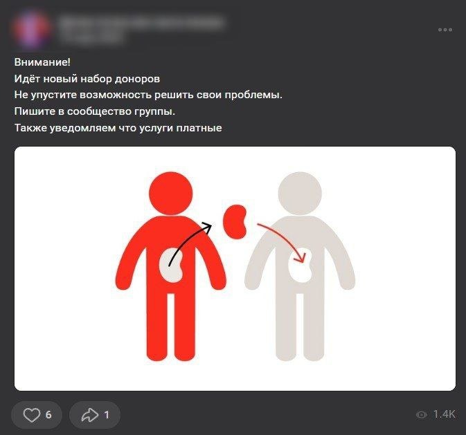 WhatsApp Image 2024-04-12 at 18.08.13