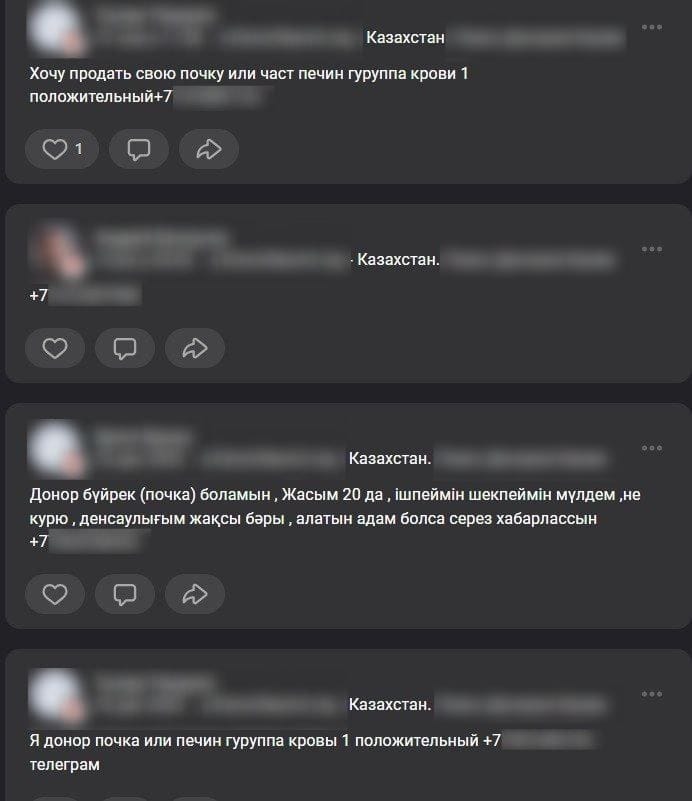 WhatsApp Image 2024-04-12 at 23.27.27 (1)